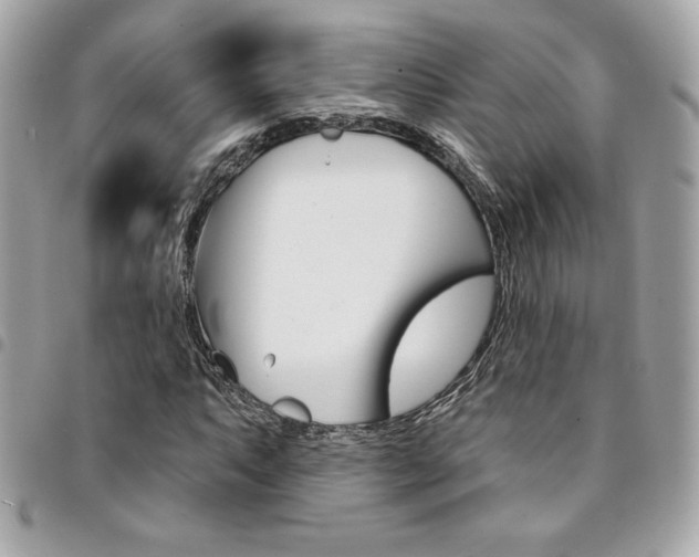X0000095511063200712140929