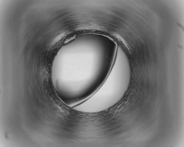 X0000095511064200712140929