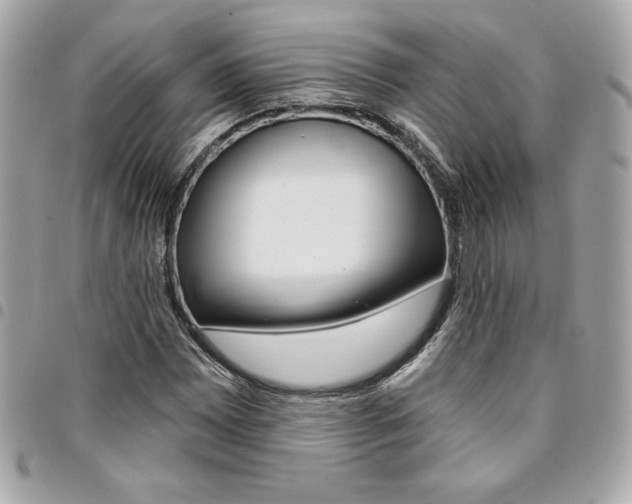 X0000095511065200712140929