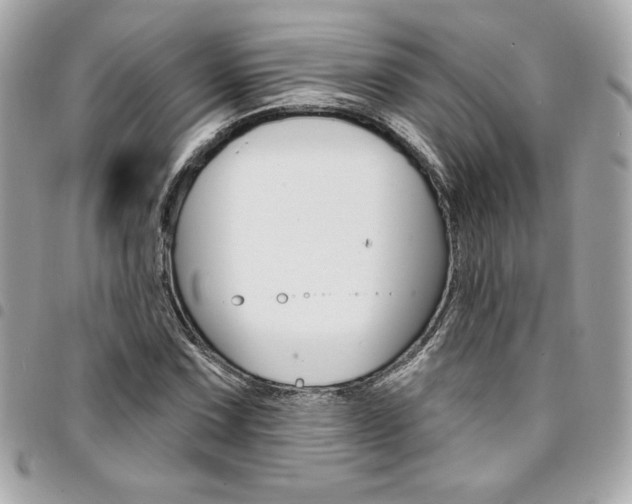 X0000095511067200712140929