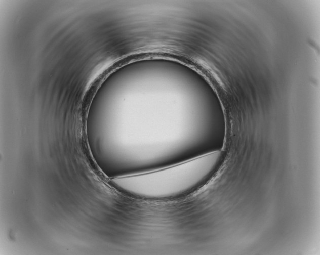 X0000095511069200712140929