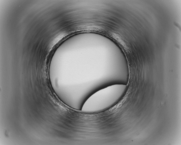 X0000095511071200712140929