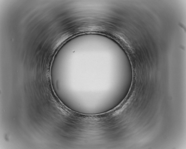 X0000095511073200712140929