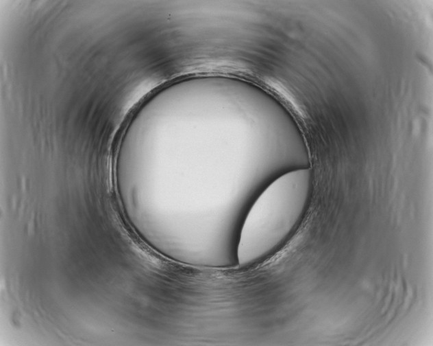 X0000095511079200712140929