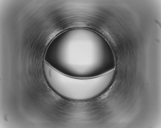 X0000095511081200712140929