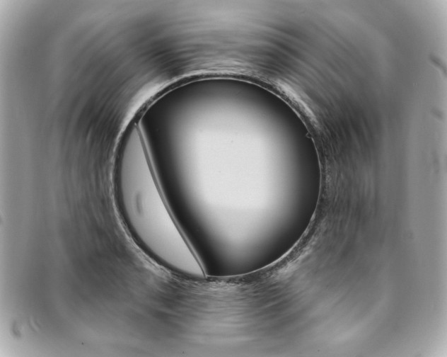 X0000095511085200712140929