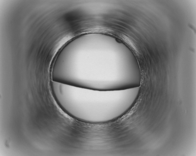 X0000095511087200712140929