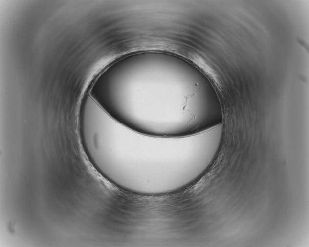 X0000095511088200712140929