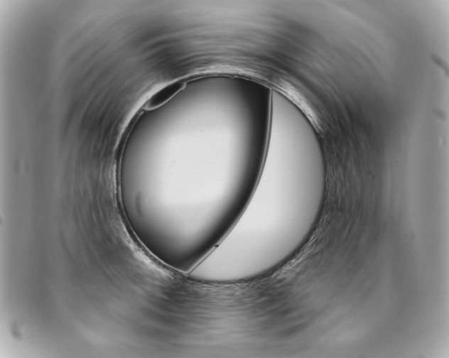 X0000095511092200712140929