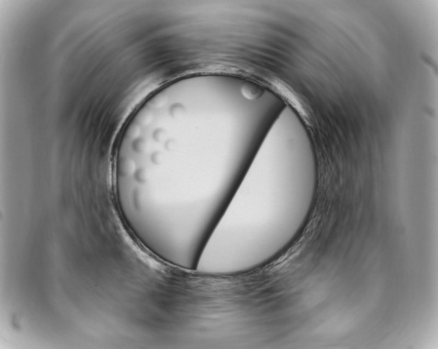 X0000095511095200712140929