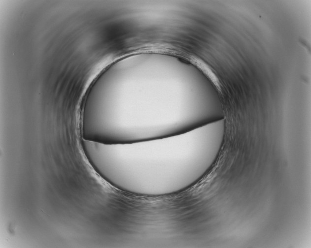 X0000095511099200712140929