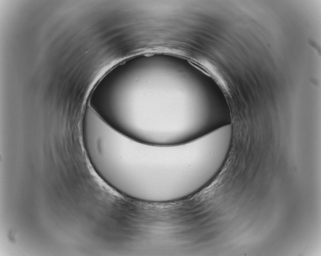 X0000095511100200712140929