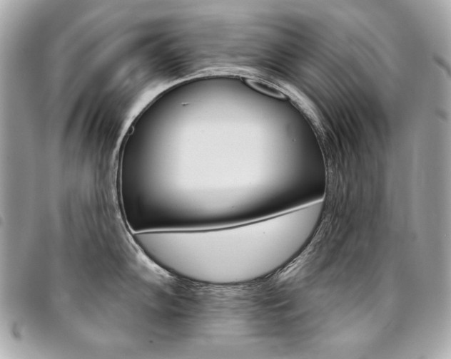 X0000095511102200712140929