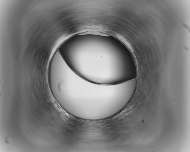 X0000095511104200712140929
