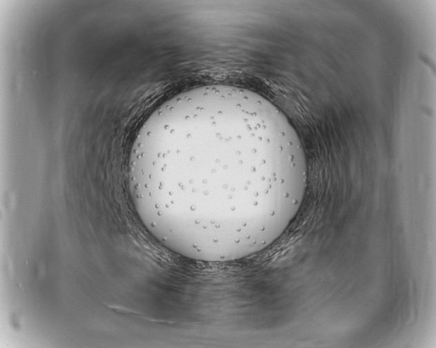 X0000095511105200712140928