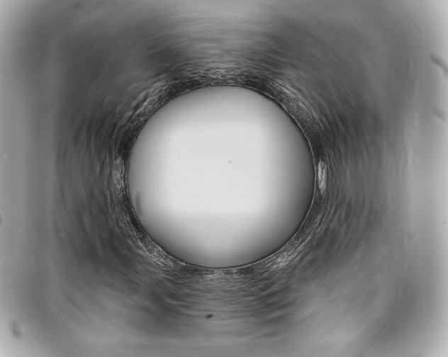 X0000095511107200712140928