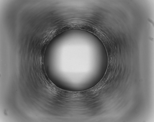 X0000095511108200712140928