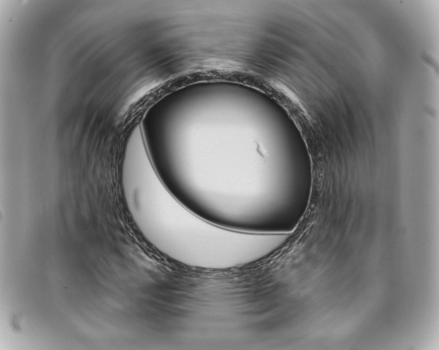 X0000095511112200712140928
