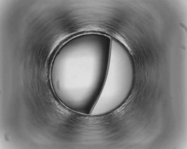 X0000095511116200712140928