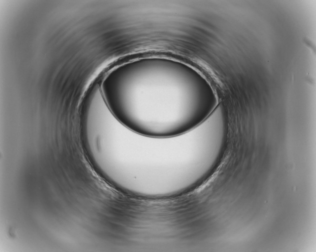 X0000095511118200712140928