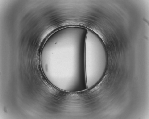 X0000095511119200712140928