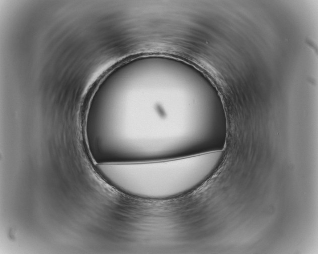 X0000095511120200712140928