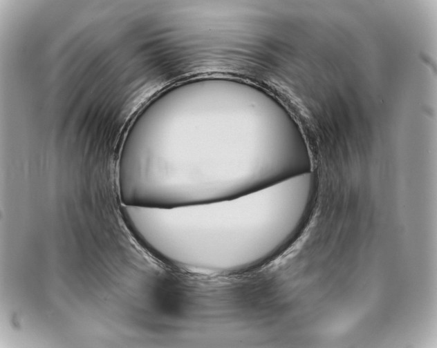 X0000095511121200712140928