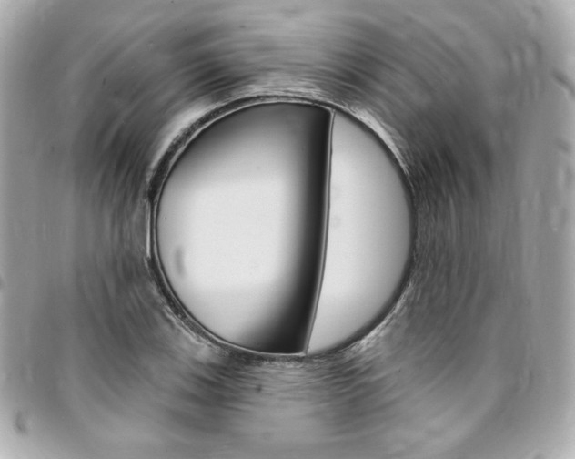 X0000095511123200712140928