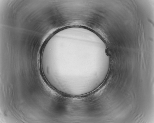 X0000095511126200712140928
