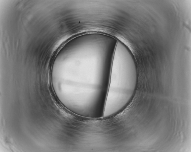X0000095511127200712140928