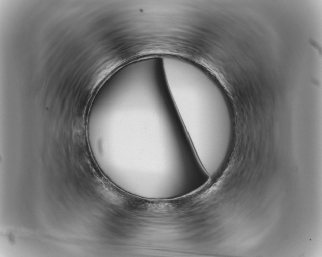 X0000095511129200712140928
