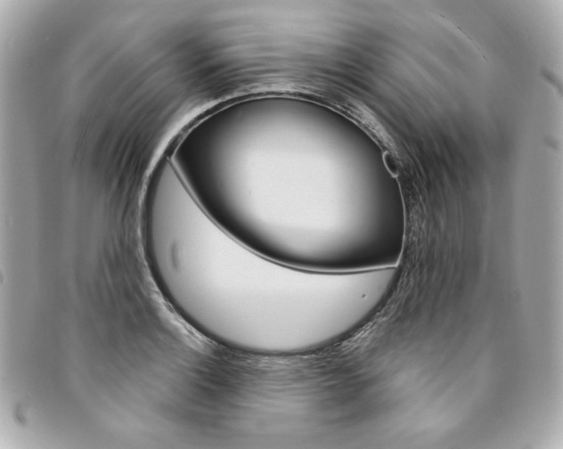 X0000095511132200712140928