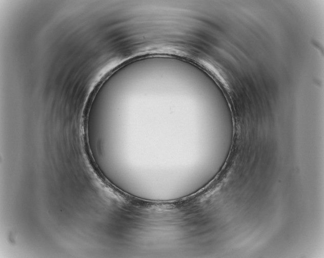 X0000095511133200712140928