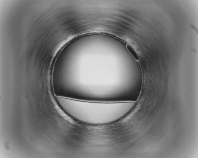 X0000095511134200712140928