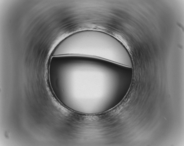 X0000095511136200712140928