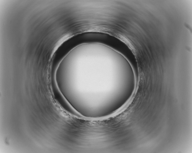 X0000095511138200712140928