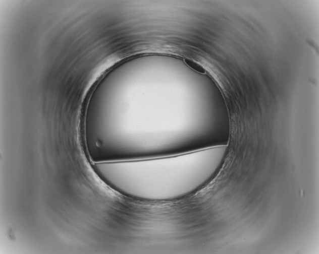 X0000095511139200712140928