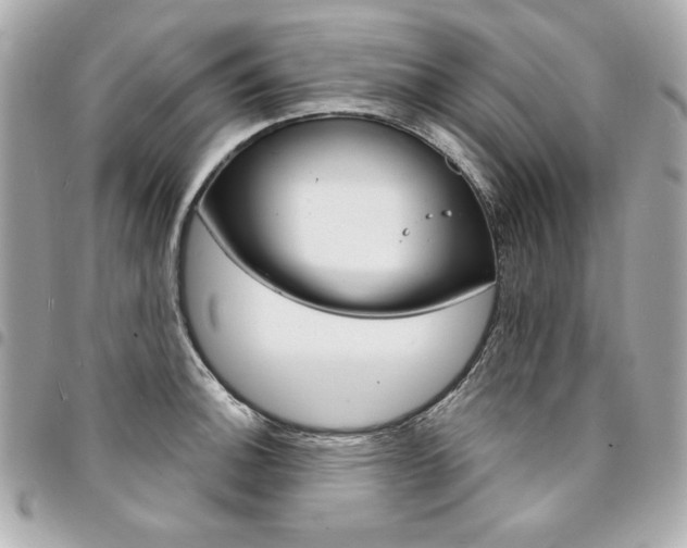 X0000095511140200712140928