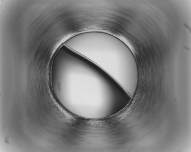 X0000095511142200712140928