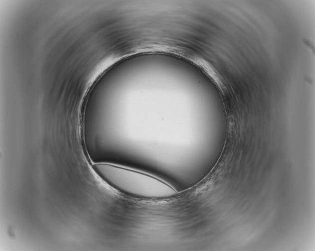X0000095511143200712140929