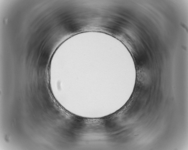 X0000095511150200712140929