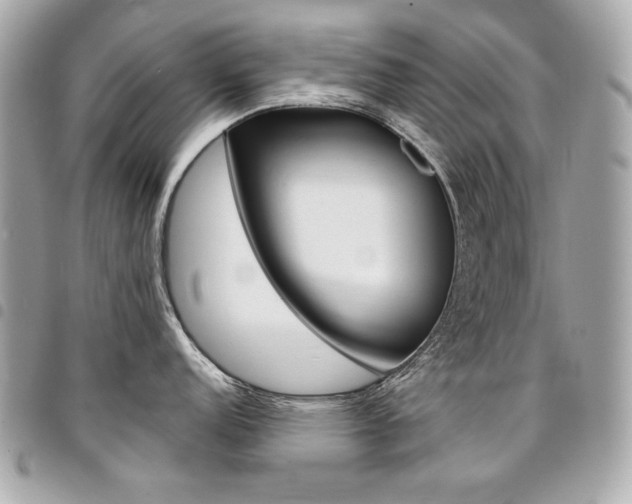 X0000095511152200712140929
