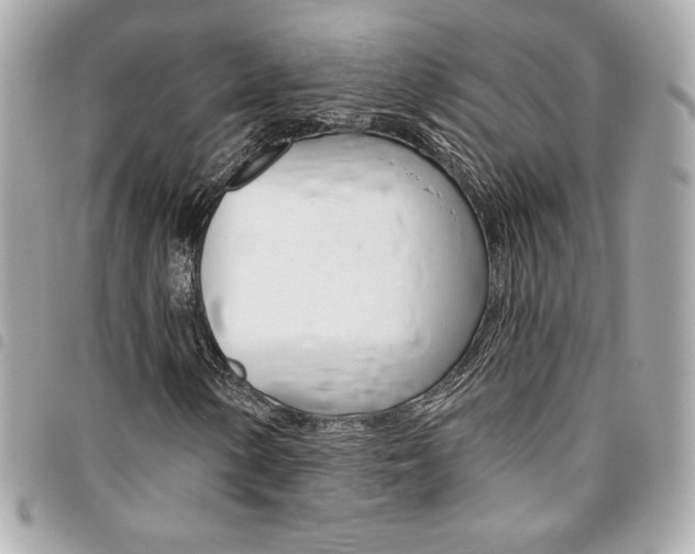 X0000095511154200712140928