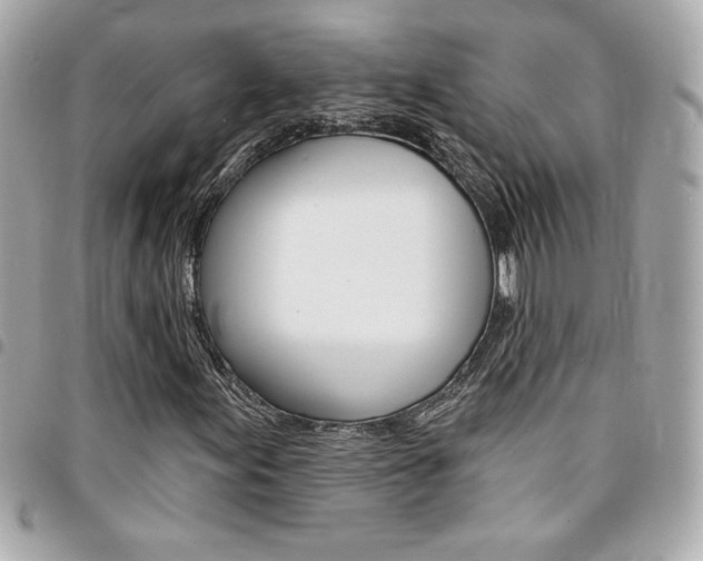 X0000095511155200712140928