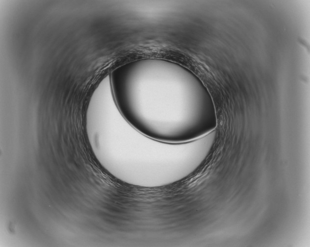X0000095511156200712140928