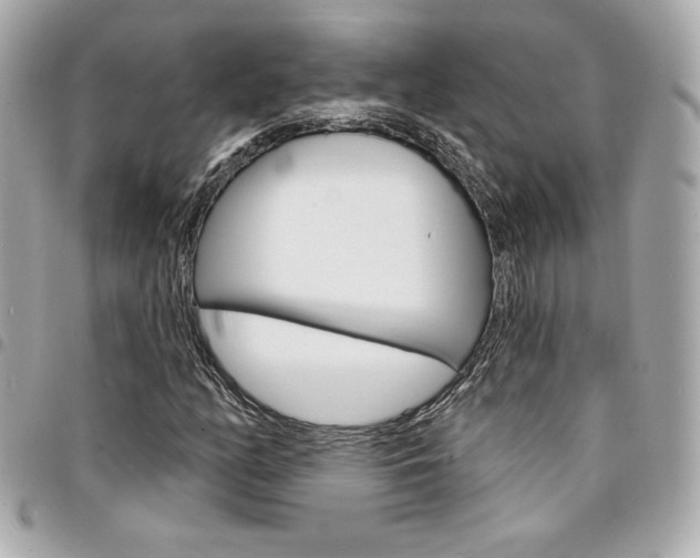 X0000095511158200712140928