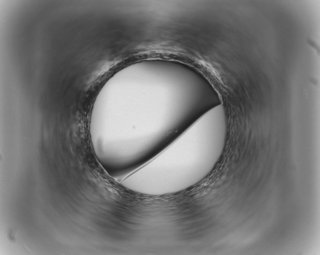 X0000095511159200712140928