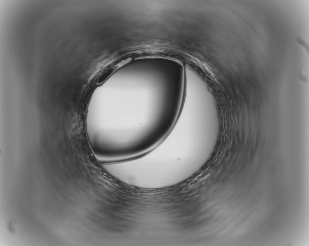 X0000095511160200712140928