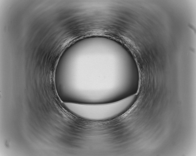 X0000095511161200712140928