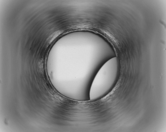 X0000095511162200712140928